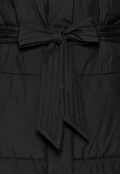 Anna Field Manteau D'Hiver - Black -Magasins Sélectionnés De Mode Pour Femmes 1beab7d014154499a6538fd052439774 scaled